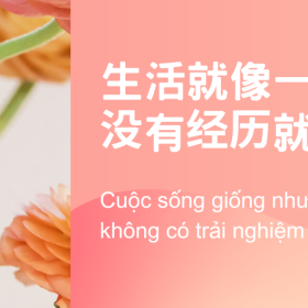 蜜桃色橙色斑點基本簡單簡報 e1746436163963