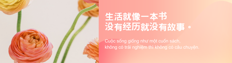 蜜桃色橙色斑點基本簡單簡報 e1746436163963